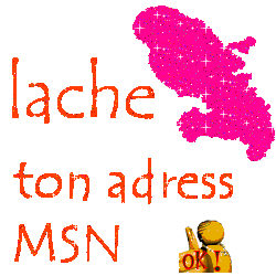 lache ton adress msn merci
